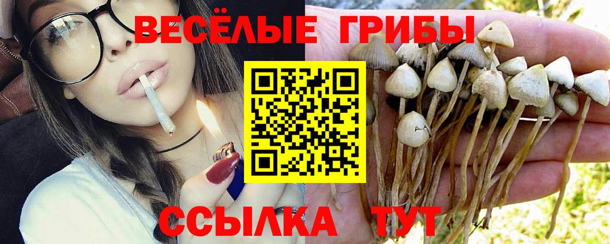 Галлюциногенные грибы MAGIC MUSHROOMS Чебаркуль